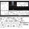 水轉印，家具水轉印，家具水移畫