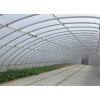 河北溫室大棚施工，春秋用大棚建造，自動化溫室大棚施工【快速get】華亮